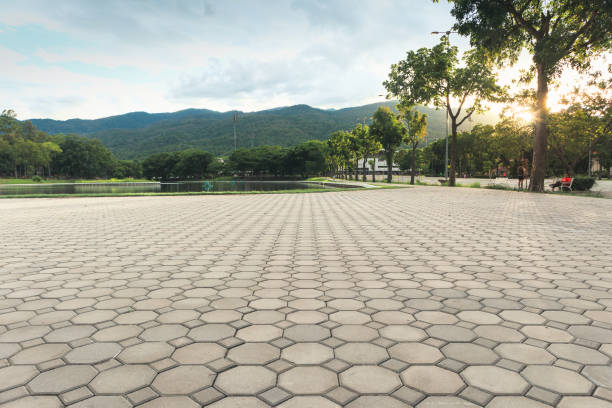 Best Custom Driveway Pavers  in Walnut Creek, NC